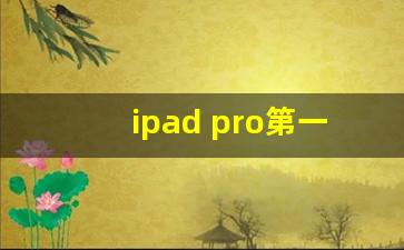 ipad pro第一代参数_苹果ipad1代多少寸